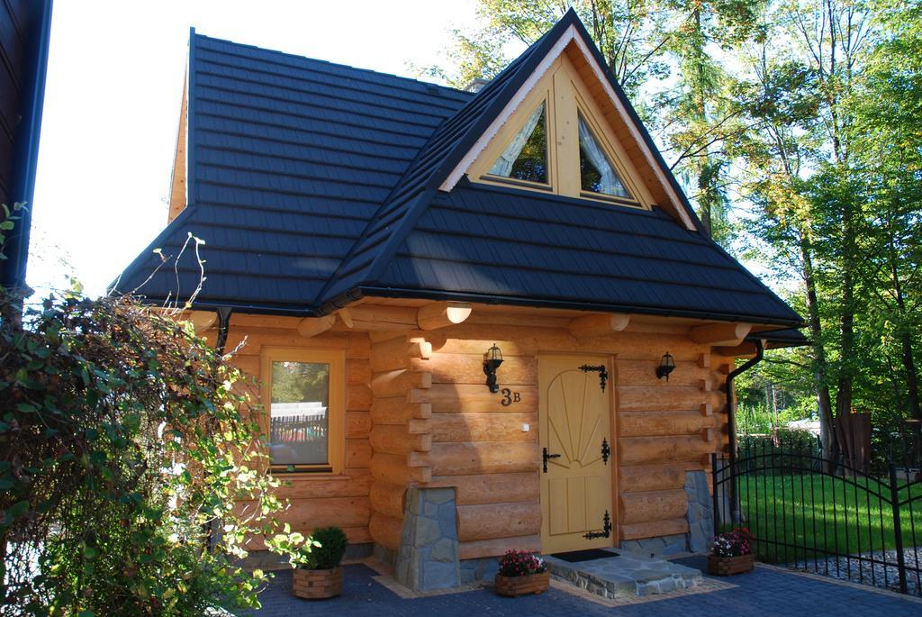 Regionalny Domek Pod Skocznia Zakopane Cameră foto